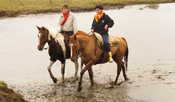 Estancia Las Viboras, Dolores - Buenos Aires