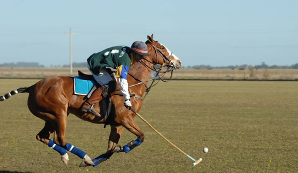 Estancia Pedro Chico, Chascoms - Buenos Aires