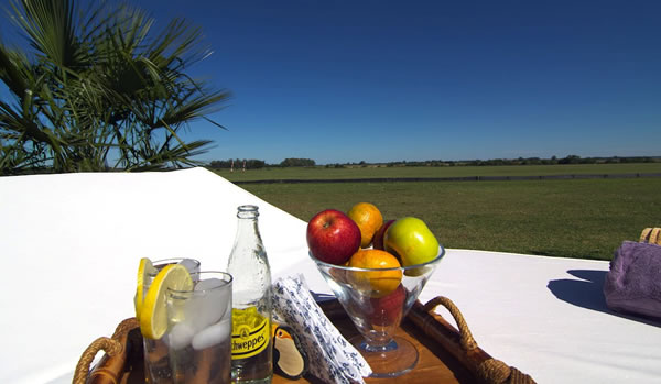 Estancia La Sofia Polo, San Andres de Giles - Buenos Aires